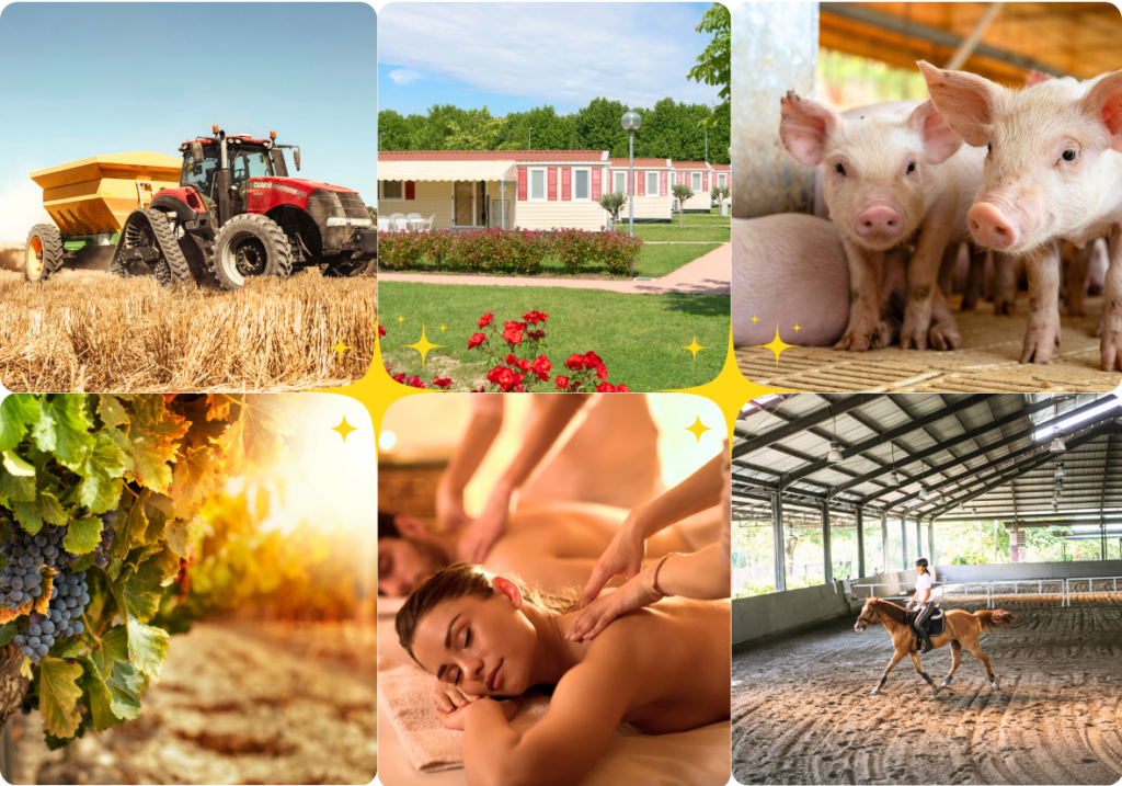 Etude géobiologique pour exploitations agricoles, élevage et sites professionnels